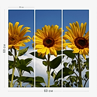 шаблон модульной картины 1